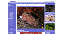 Desktop Screenshot of livingat.org